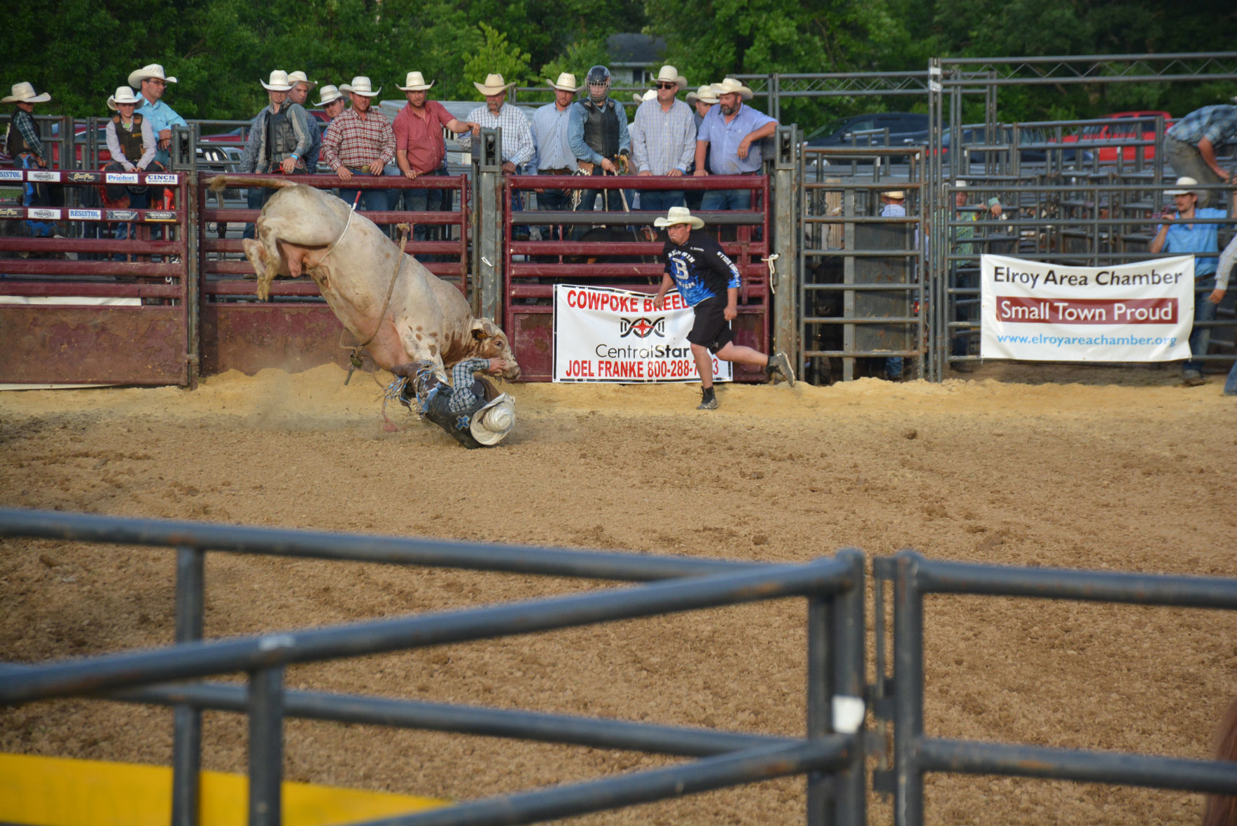 Elroy Fair 17